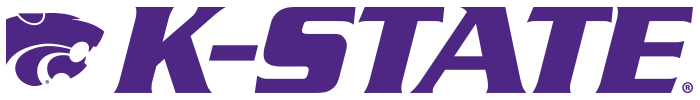 531s17
